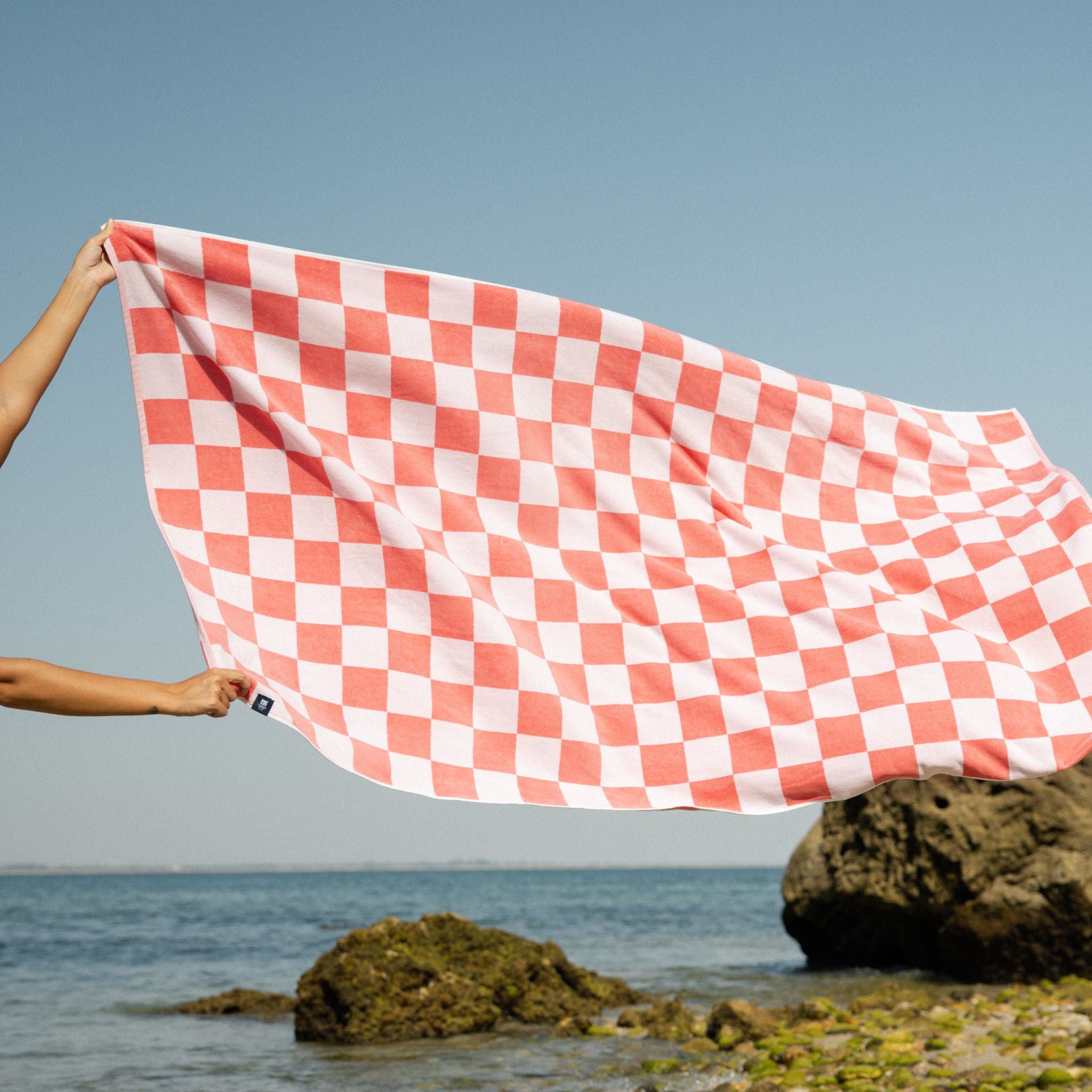 Pink chequered Gibalta - Torres Novas