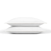 Foz Percale 400 TC - Torres Novas