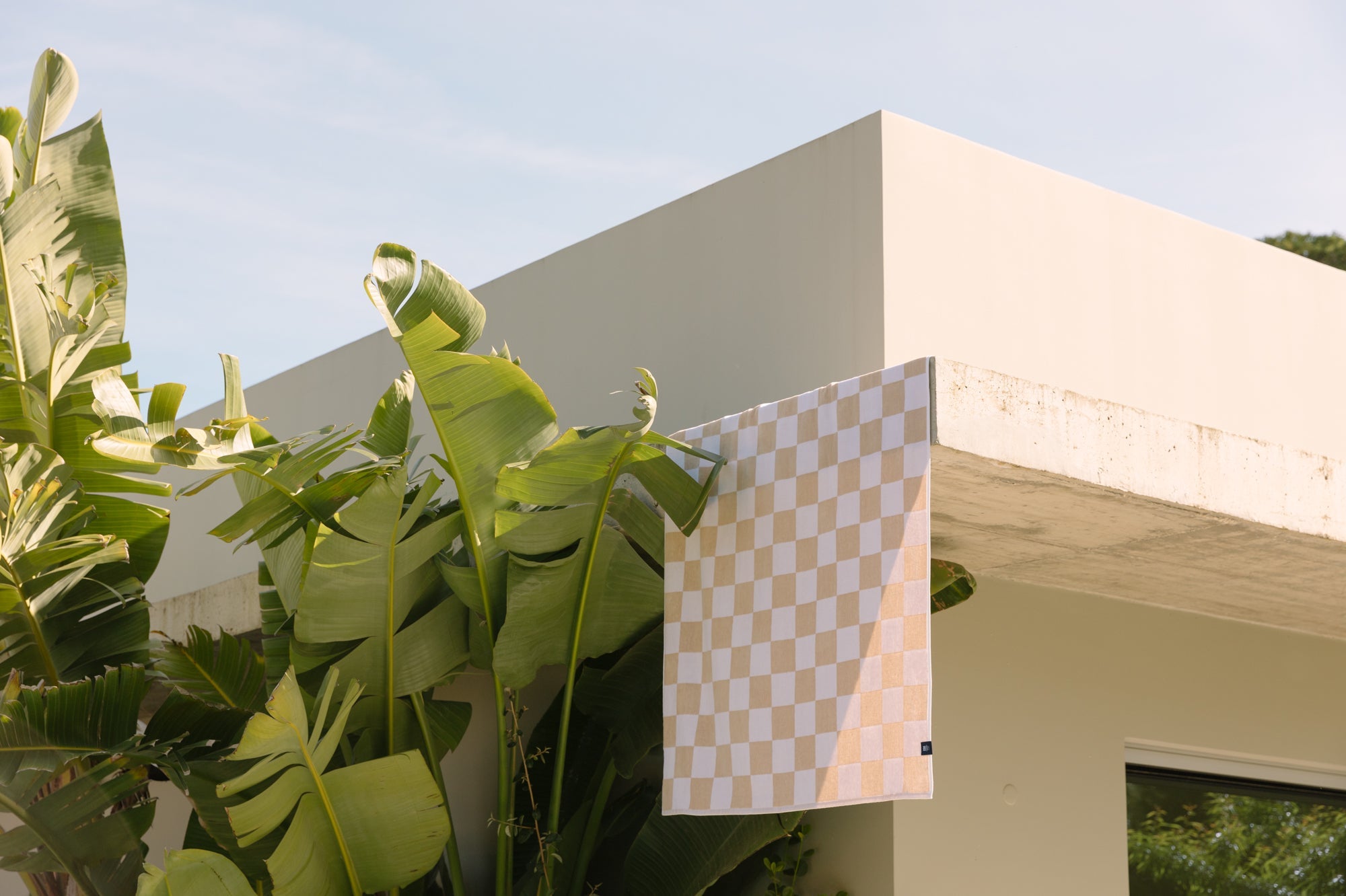 Beige checkered Gibalta - Torres Novas