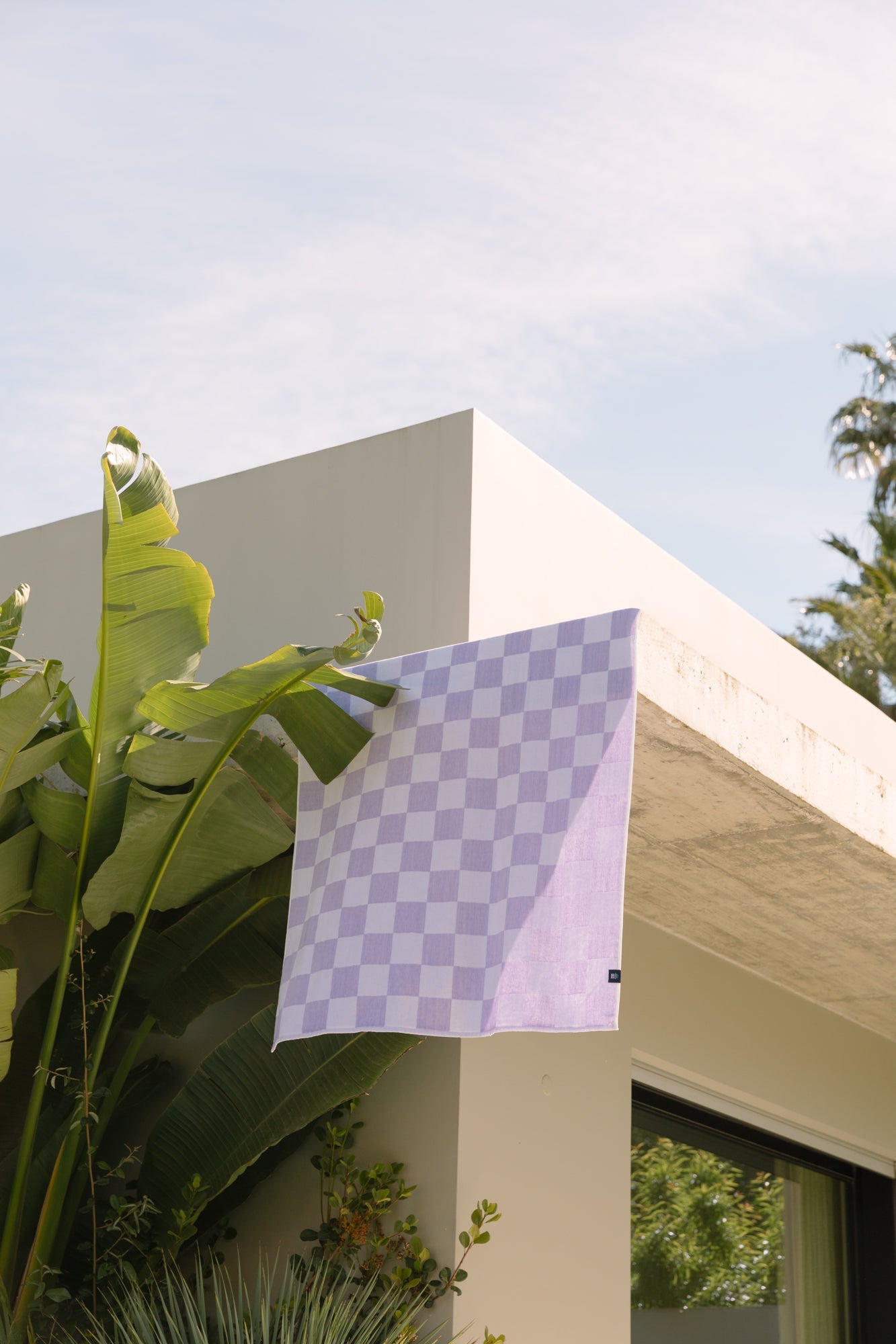Lavender checkered Gibalta - Torres Novas